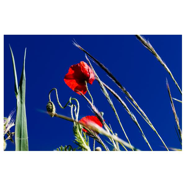 PHOTO84, CLUB, 84 , LUBERON